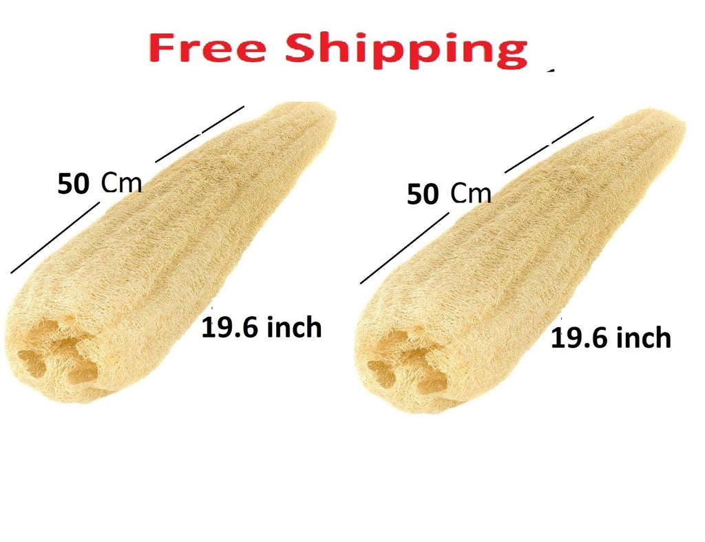 2 Extra Large 100% Organic Egyptian Loofah Natural Exfoliating Bathing Loofah0