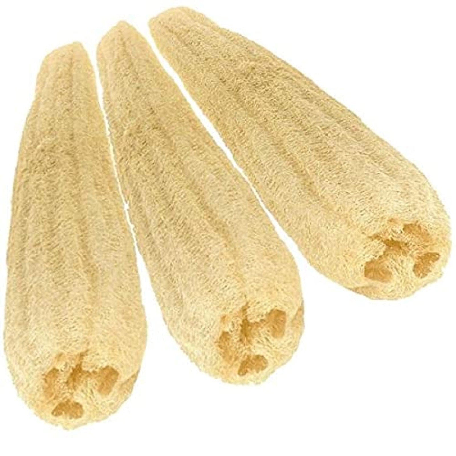 6 Extra Large 100% Organic Egyptian Loofah Natural Body Scrubber Skin Exfoliate4