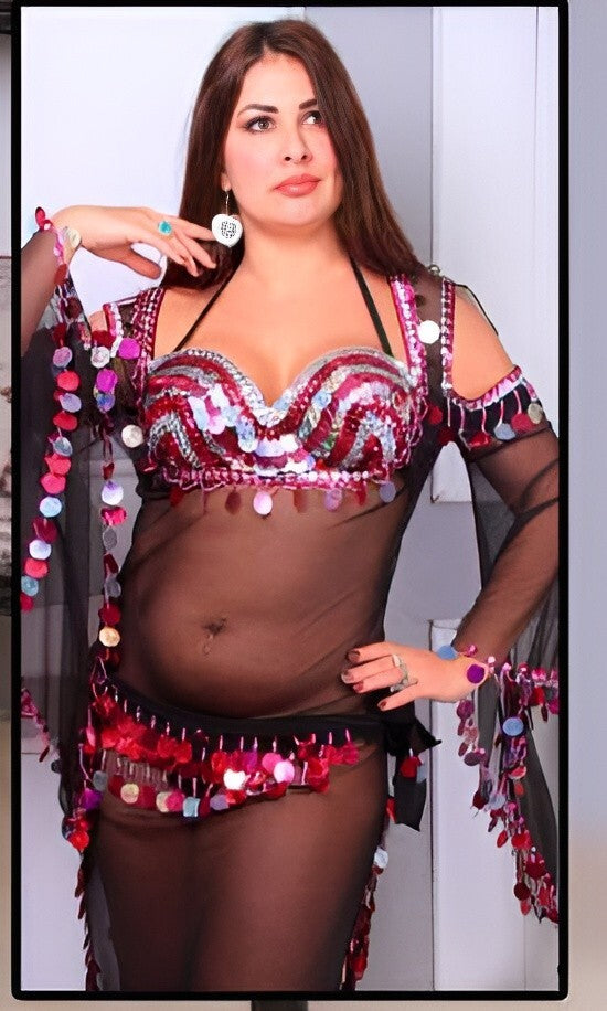 Gypsy Egyptian Belly Dancing Dress Transparent embroidered coins dance costume1