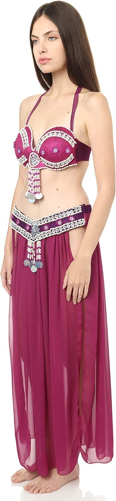 Egyptian Professional Belly Dance Costume Purple& Silver Sexy Belly dance Dress2