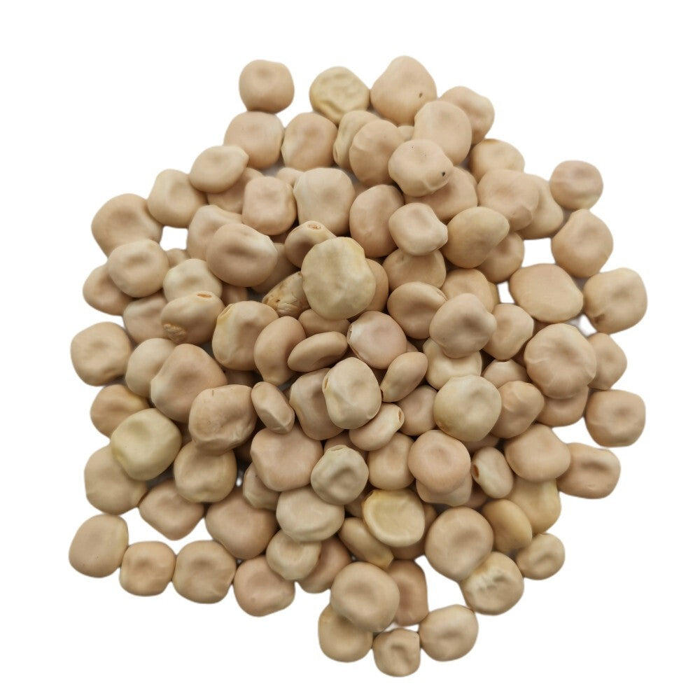 Al Doha Dry Lupin Beans Alba Seeds 1 Kg 2.2 Ib. Expedite Free Shipping ترمس بلدي1