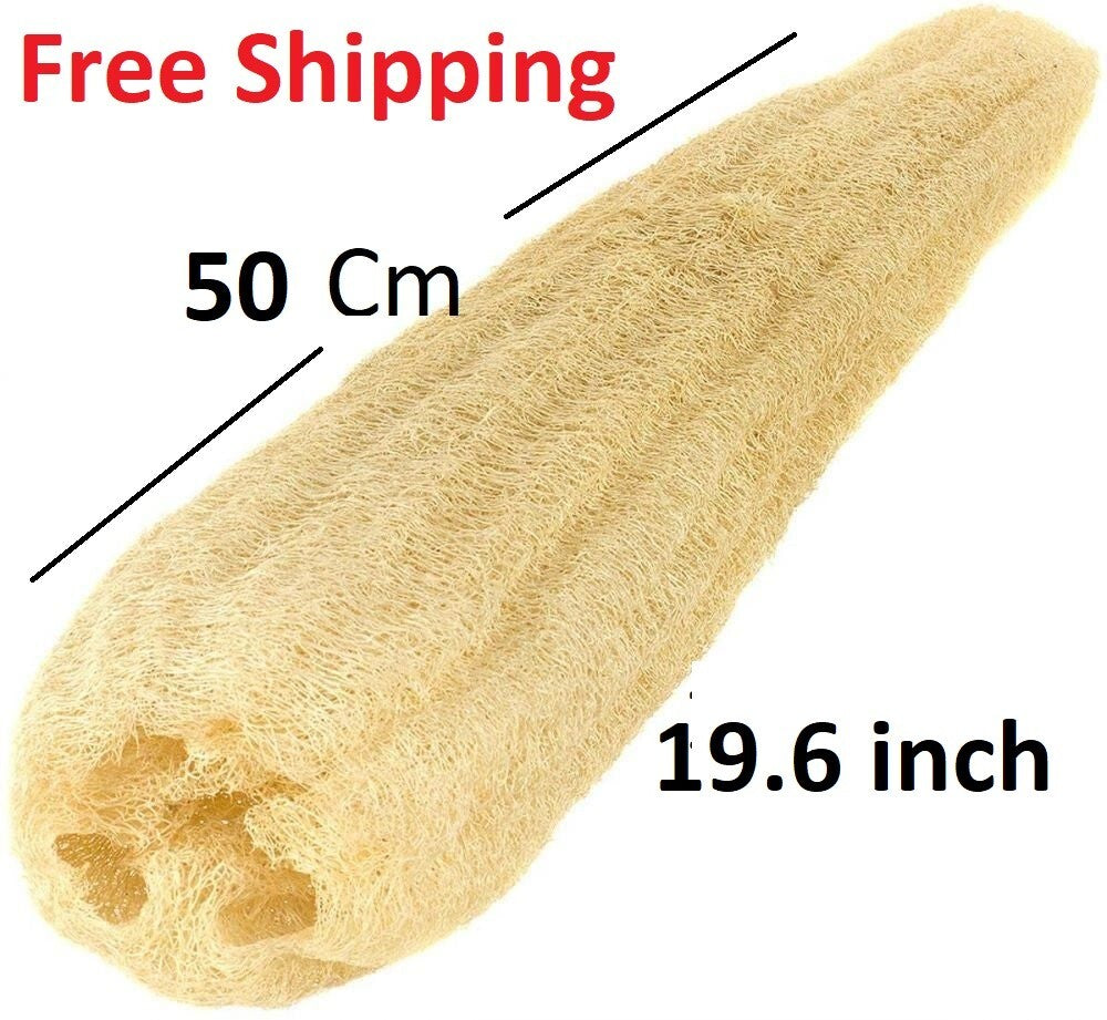 6 Extra Large 100% Organic Egyptian Loofah Natural Body Scrubber Skin Exfoliate2