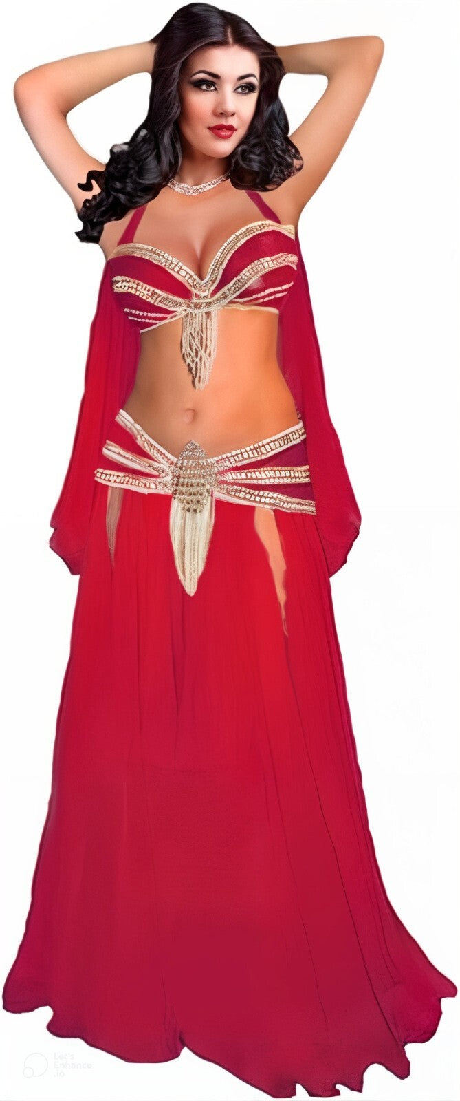 Professional Red Belly Dance Costume Traditional Egyptian Style Skirt Bra& Scarf0