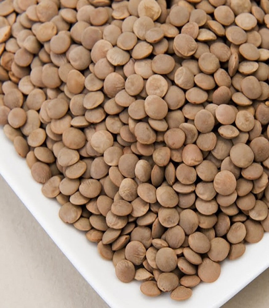 Brown Lentils High Quality Packed legumes Oriental Food 1 Kg 2.2 Ib. عدس بجبة1
