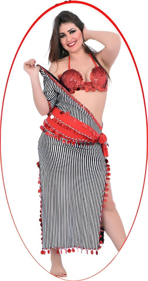 3 Piece Hot Egyptian Belly Dance Dress Oriental Galabeya Bra &Dancing Scarf1
