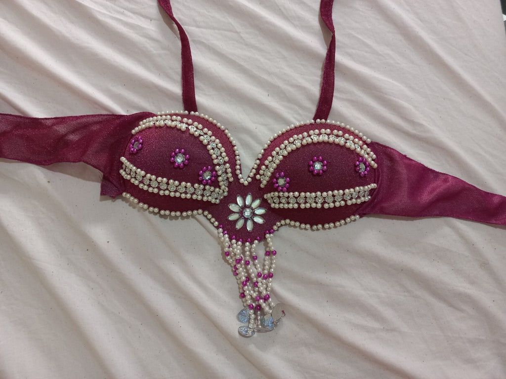 Egyptian Professional Belly Dance Costume Purple& Silver Sexy Belly dance Dress4