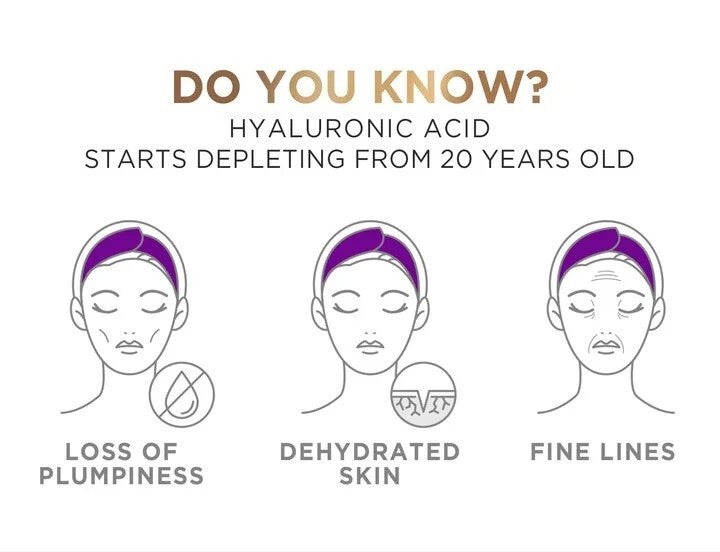 2x L'Oreal Paris  Hyaluron Expert Replumping Moisturizing Day Cream SPF 20- 50ml4