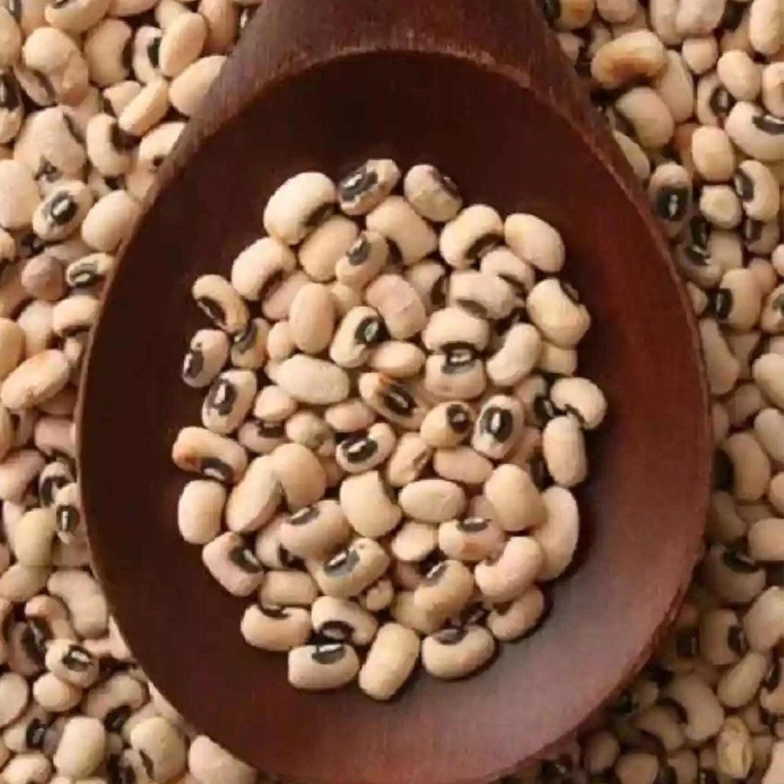 Egyptian Black Eyed Peas Legumes Vegetarian Oriental Food 1 Kg 2.2 Ib. لوبيا3