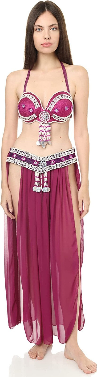 Egyptian Professional Belly Dance Costume Purple& Silver Sexy Belly dance Dress1