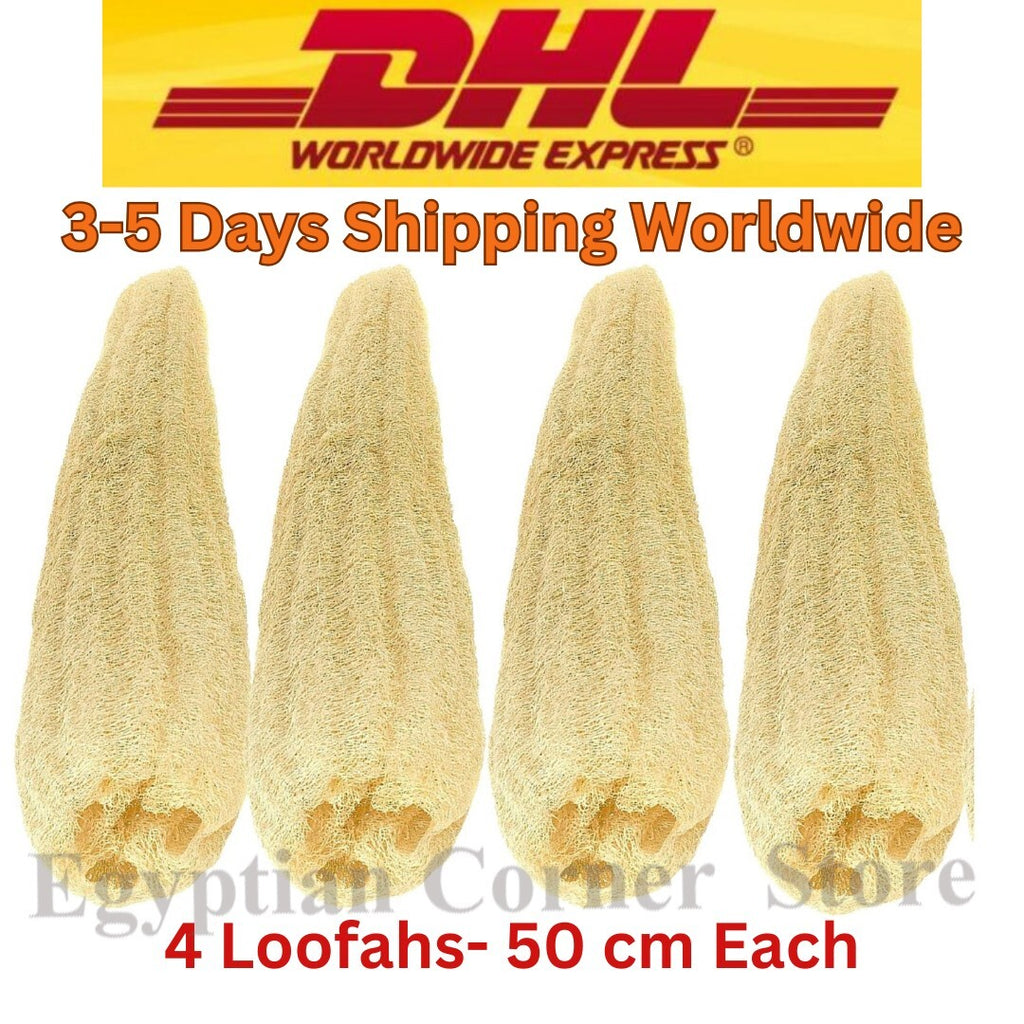 4 Extra Large Egyptian Loofah 100% Organic Body Scrubber Exfoliating Loofah 50cm1