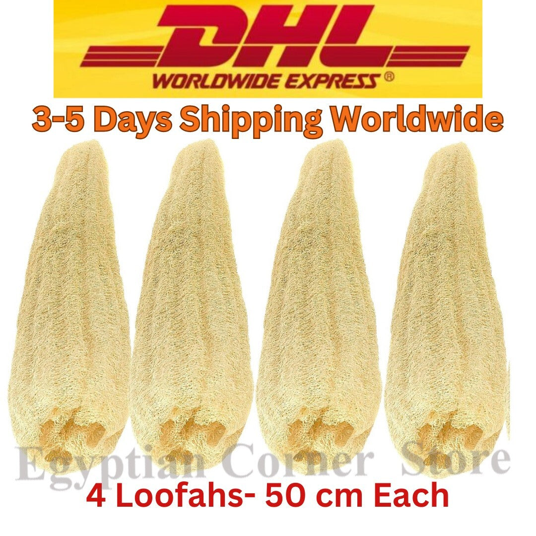 4 Extra Large Egyptian Loofah 100% Organic Body Scrubber Exfoliating Loofah 50cm1