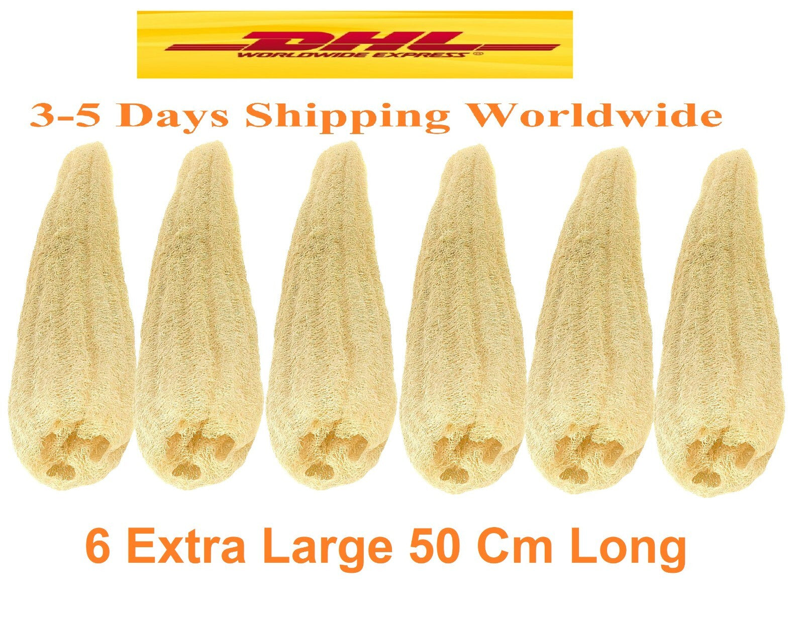 6 Extra Large 100% Organic Egyptian Loofah Natural Body Scrubber Skin Exfoliate0