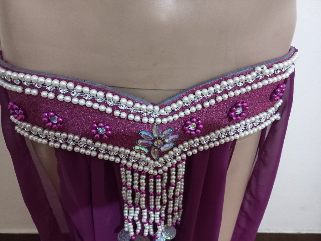 Egyptian Professional Belly Dance Costume Purple& Silver Sexy Belly dance Dress11
