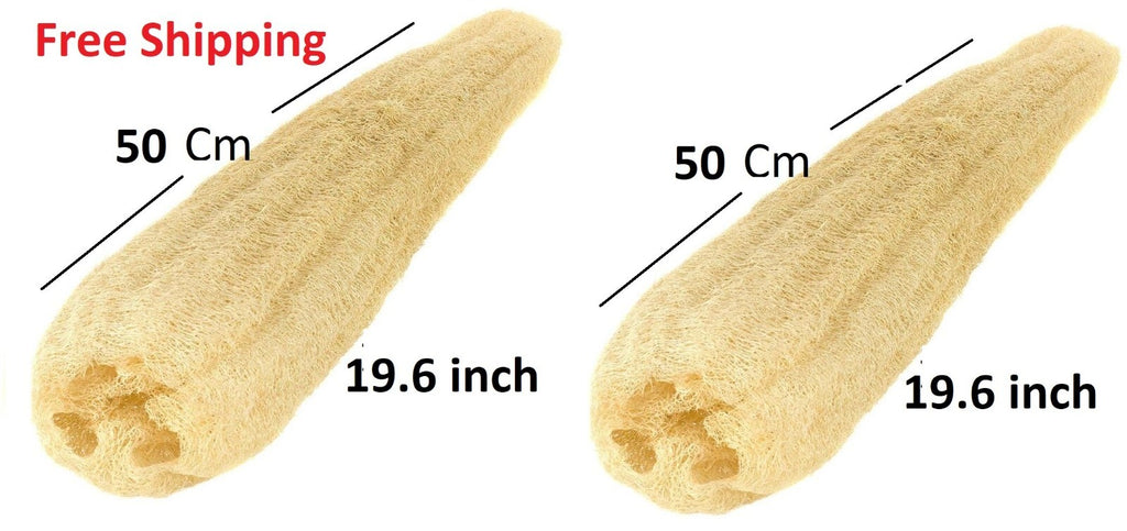 6 Extra Large 100% Organic Egyptian Loofah Natural Body Scrubber Skin Exfoliate5